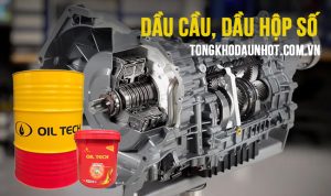 dau-cau-dau-hop-so